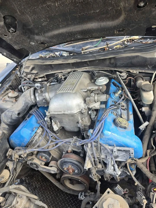 1998 Ford SN95 Mustang Cobra - Image 4 of 16