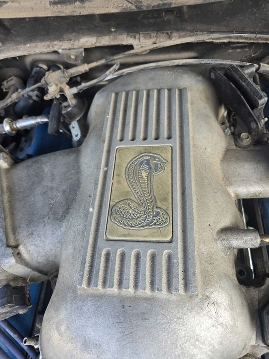 1998 Ford SN95 Mustang Cobra - Image 3 of 16