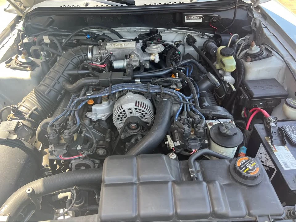 1998 Ford SN95 Mustang - Image 13 of 16