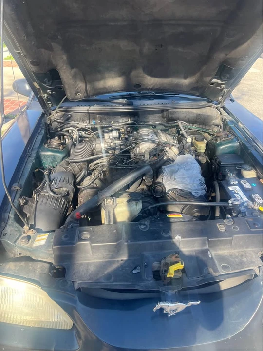 1998 Ford SN95 Mustang - Image 7 of 7