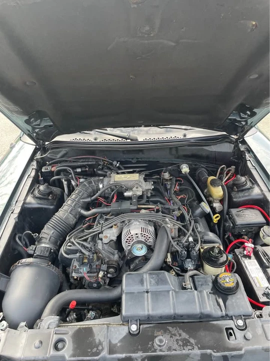 1998 Ford SN95 Mustang - Image 5 of 7