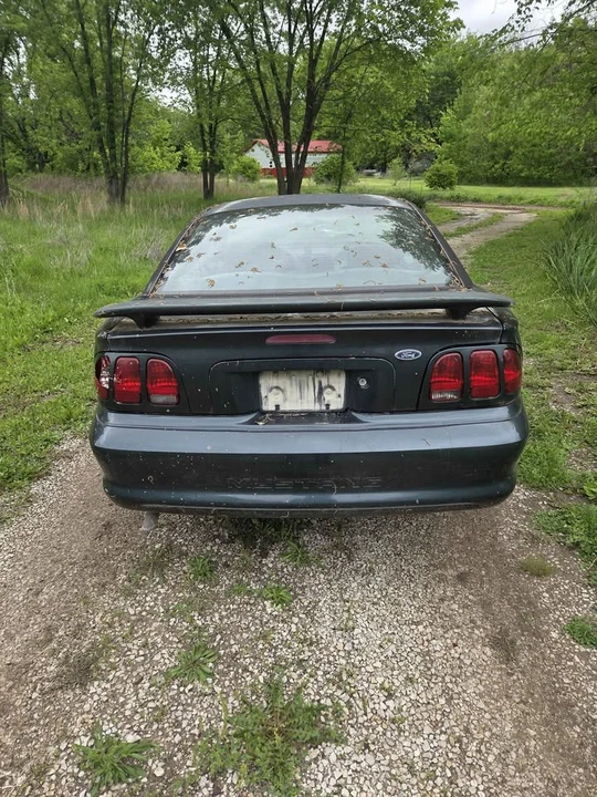 1998 Ford SN95 Mustang - Image 4 of 10