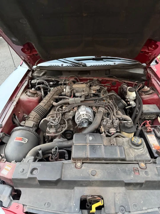 1998 Ford SN95 Mustang - Image 3 of 10