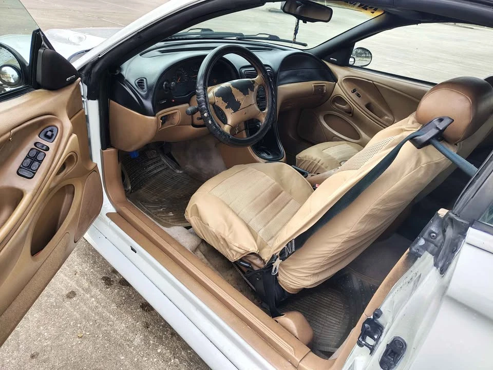 1998 Ford SN95 Mustang - Image 11 of 11