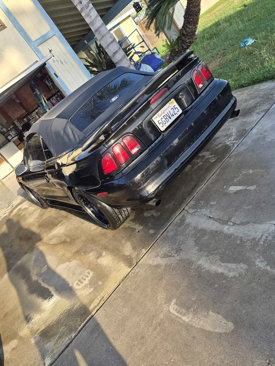 1998 Ford SN95 Mustang - Image 4 of 10