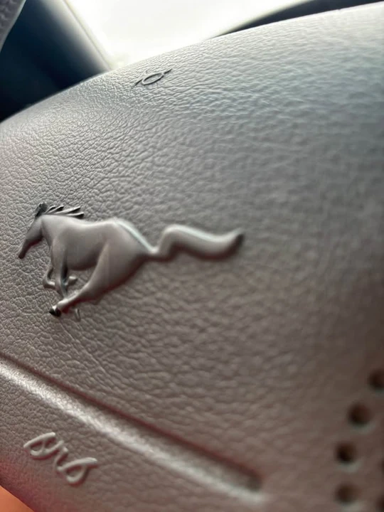 1998 Ford SN95 Mustang - Image 15 of 16
