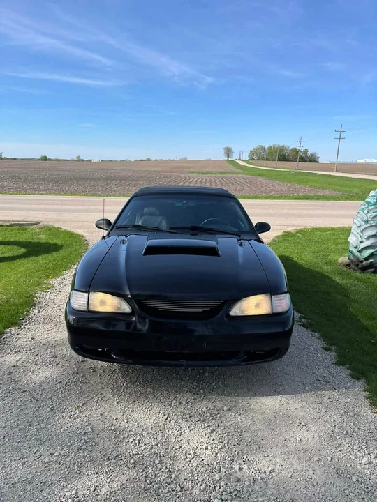 1998 Ford SN95 Mustang - Image 6 of 16