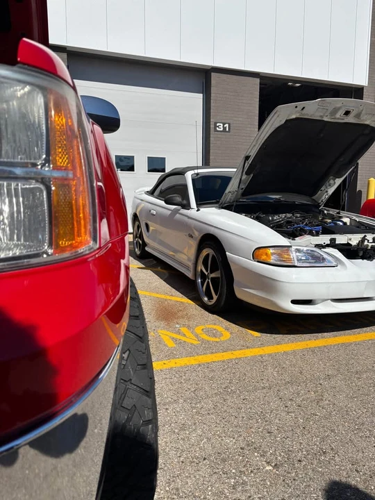 1998 Ford SN95 Mustang - Image 8 of 16