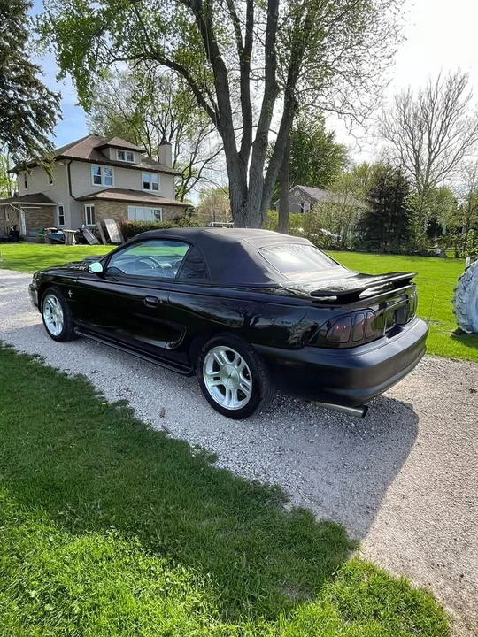 1998 Ford SN95 Mustang - Image 4 of 16