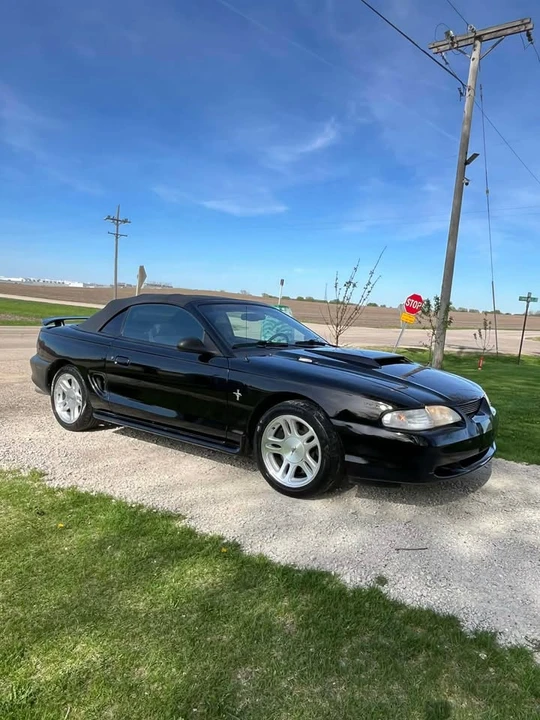 1998 Ford SN95 Mustang - Image 2 of 16
