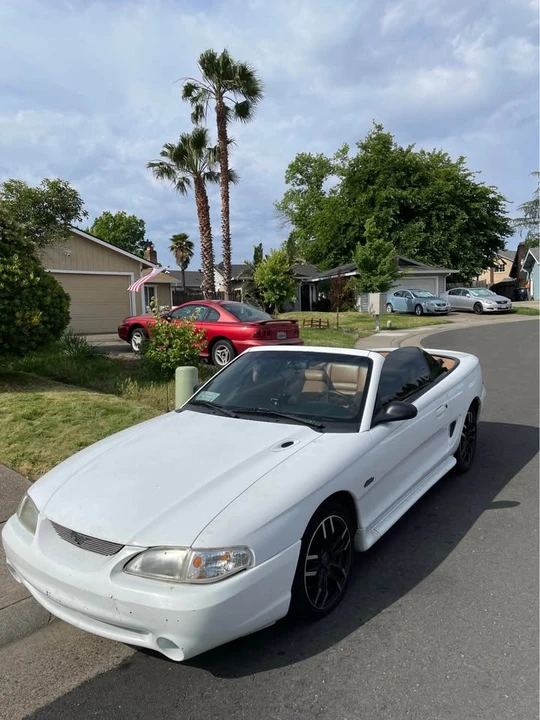 1998 Ford SN95 Mustang - Image 4 of 5
