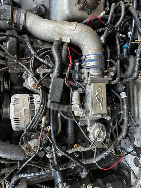 1998 Ford SN95 Mustang - Image 12 of 16