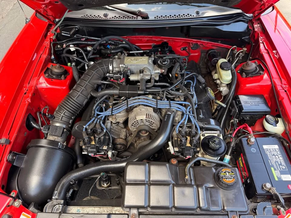 1998 Ford SN95 Mustang - Image 16 of 16