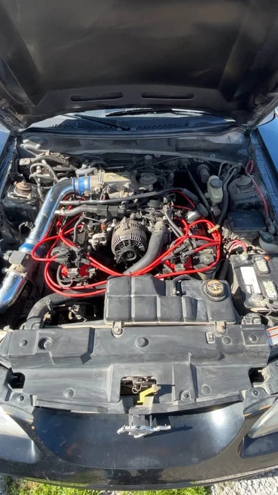 1998 Ford SN95 Mustang - Image 3 of 14