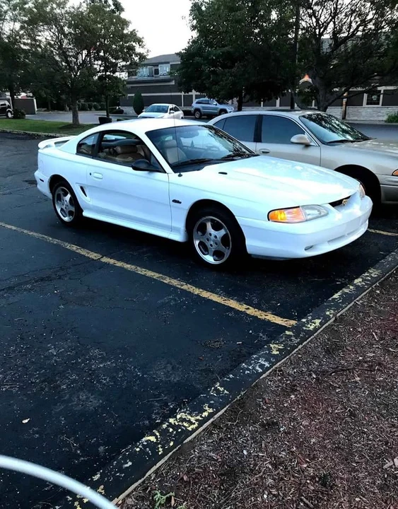 1998 Ford SN95 Mustang - Image 15 of 17