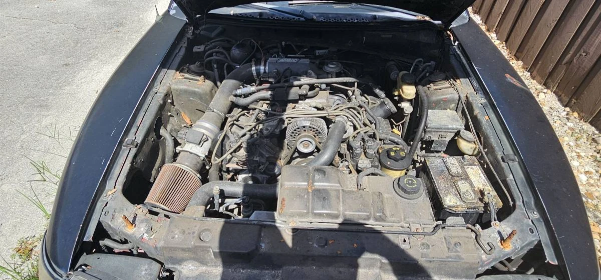 1998 Ford SN95 Mustang - Image 5 of 9