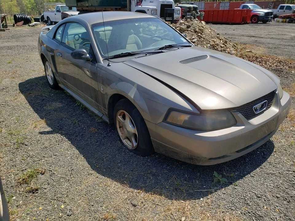1998 Ford SN95 Mustang - Image 3 of 3