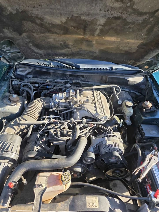 1998 Ford SN95 Mustang - Image 7 of 7