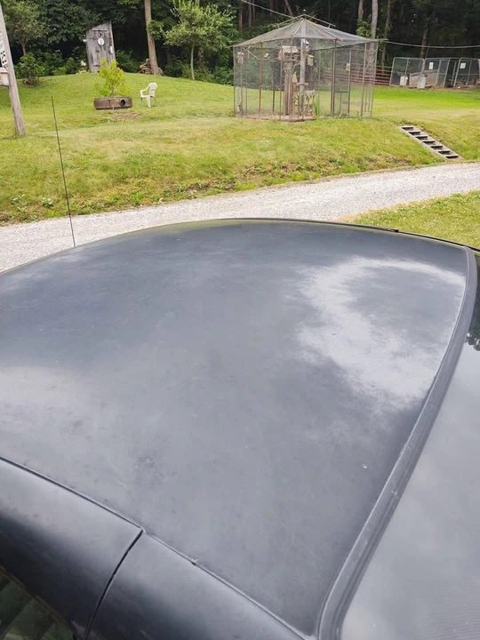 1998 Ford SN95 Mustang - Image 11 of 12