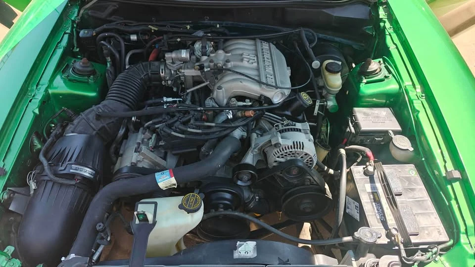 1998 Ford SN95 Mustang - Image 15 of 17