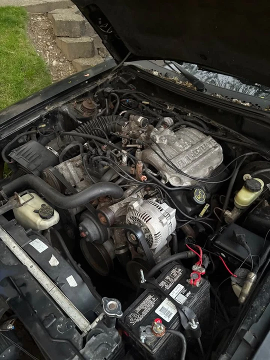 1998 Ford SN95 Mustang - Image 8 of 10