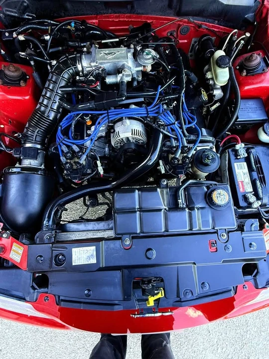 1998 Ford SN95 Mustang - Image 18 of 20