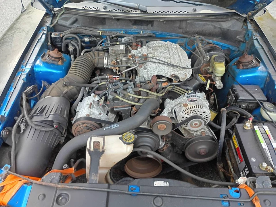 1998 Ford SN95 Mustang - Image 8 of 9