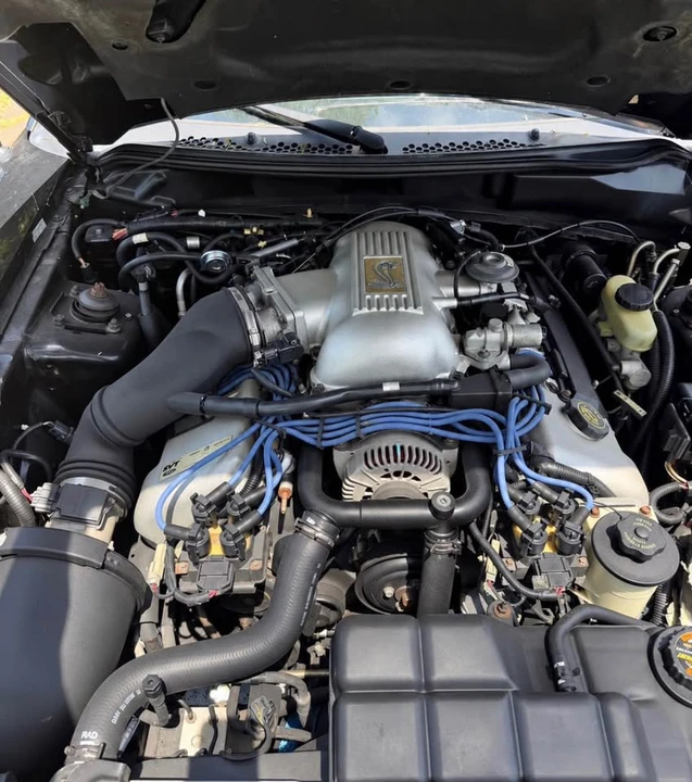 1998 Ford SN95 Mustang Cobra - Image 10 of 10