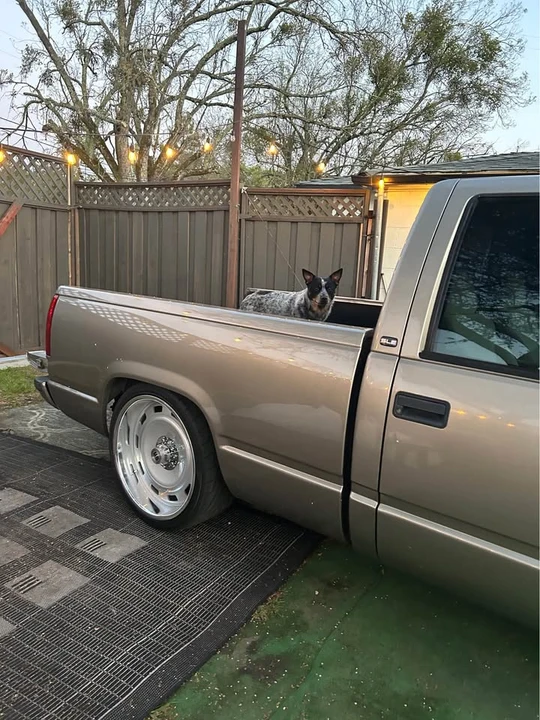 1998 GMC Sierra 1st Gen - Image 3 of 16