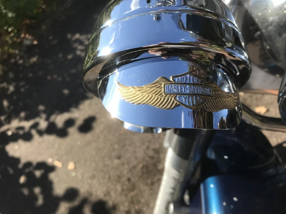 1998 Harley-Davidson Softail - Image 14 of 30