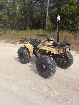 1998 Honda Fourtrax 300