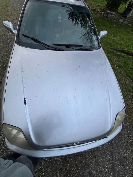 1998 Honda Prelude 5th Gen - Image 3 of 6