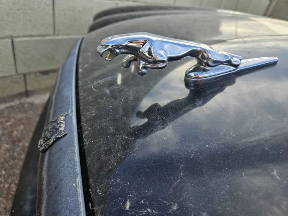1998 Jaguar X308 XJR - Image 4 of 10