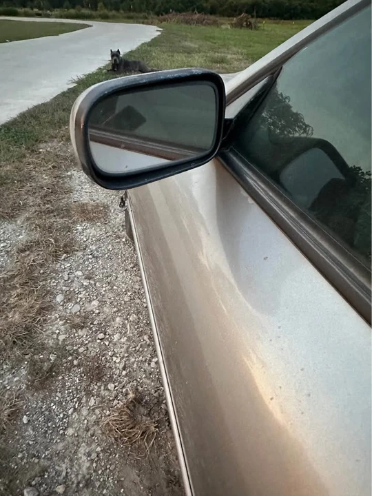 1998 Jaguar X100 XK8 - Image 15 of 20