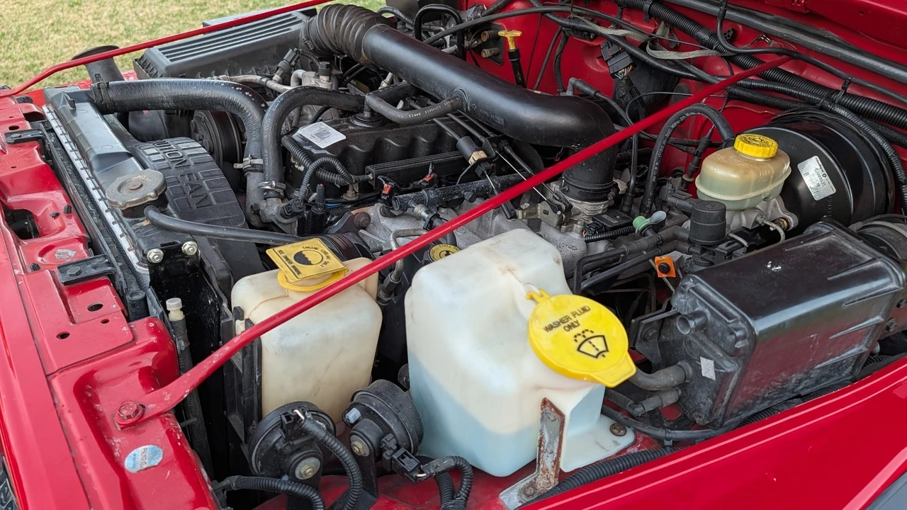 1998 Jeep TJ Wrangler - Image 31 of 31