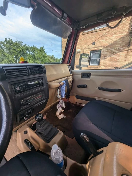 1998 Jeep TJ Wrangler - Image 3 of 15