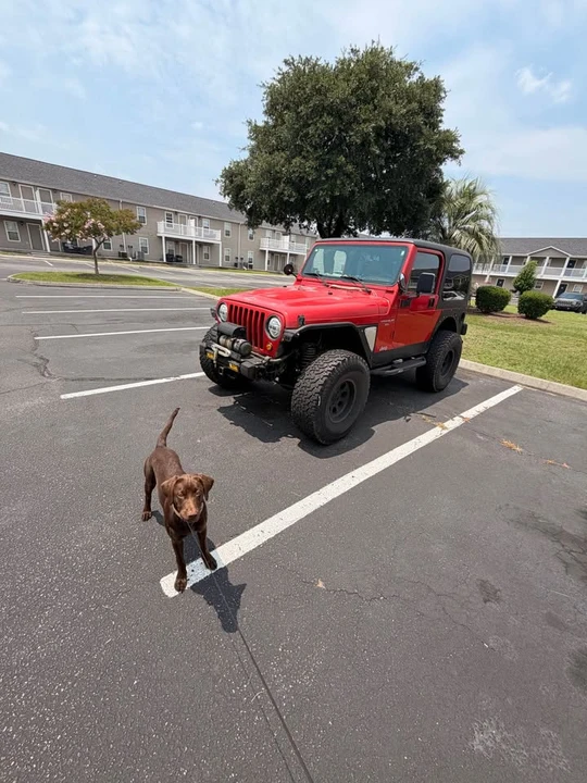 1998 Jeep TJ Wrangler - Image 3 of 6