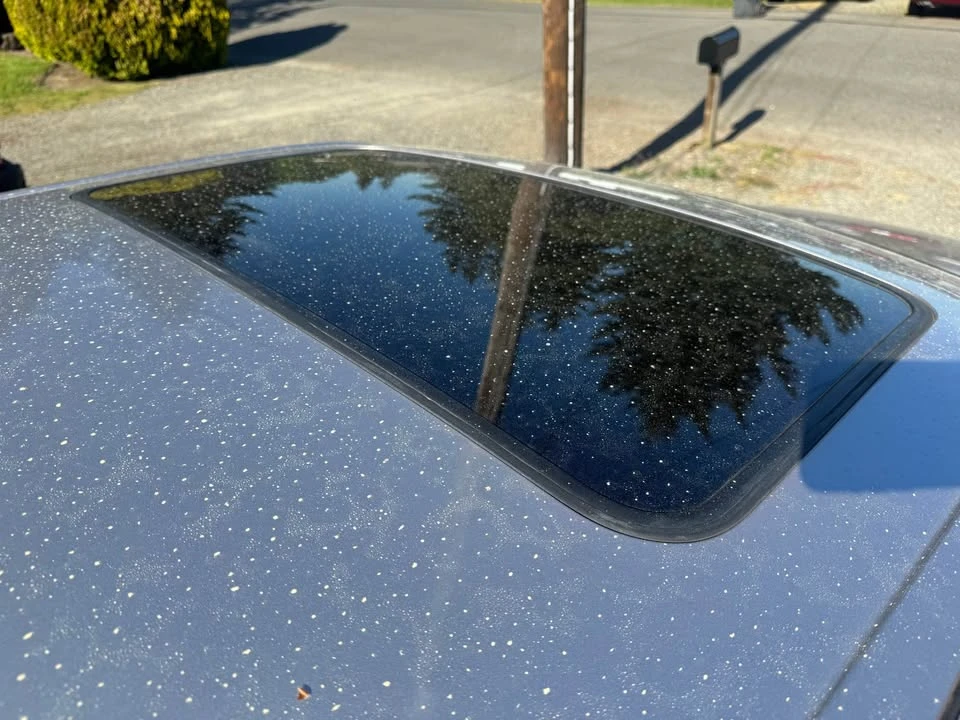 1998 Lexus LS 2nd Gen - Image 11 of 11