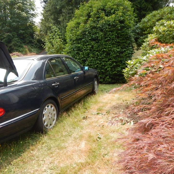 1998 Mercedes-Benz W210 E-Class - Image 23 of 24