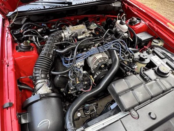 1998 Ford SN95 Mustang - Image 20 of 20