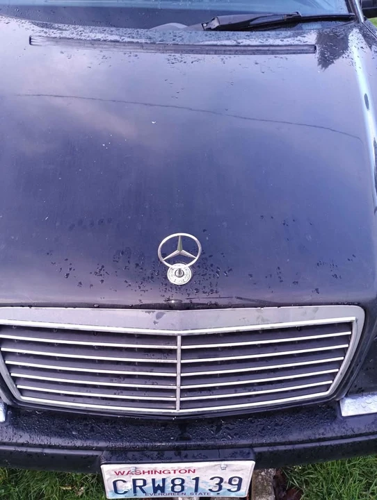 1998 Mercedes-Benz W210 E-Class - Image 4 of 14