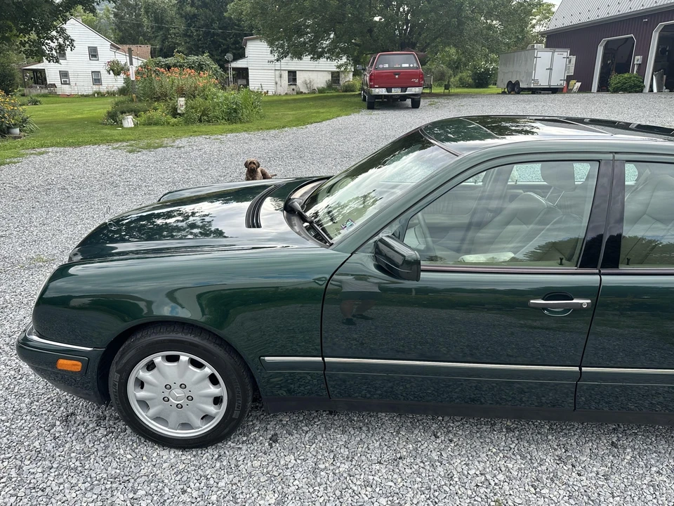 1998 Mercedes-Benz W210 E-Class - Image 27 of 31