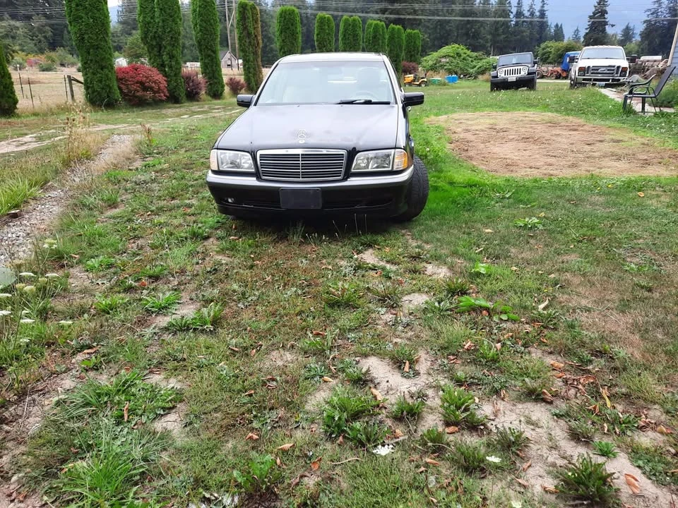 1998 Mercedes-Benz W202 C-Class - Image 4 of 12