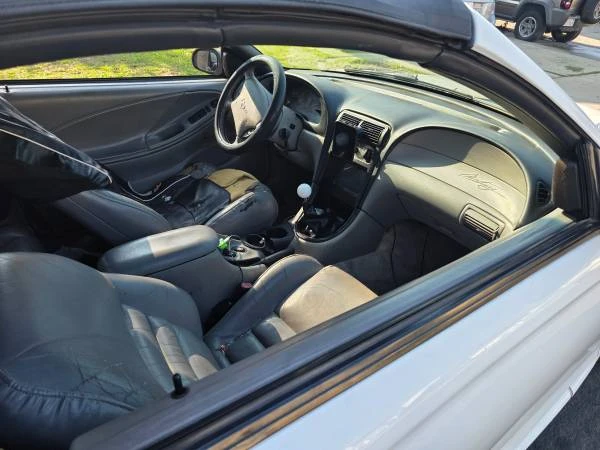1998 Ford SN95 Mustang - Image 2 of 19