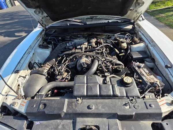 1998 Ford SN95 Mustang - Image 4 of 19