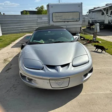 1998 Pontiac Firebird Convertible 2D