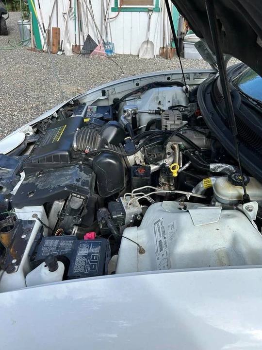 1998 Pontiac Firebird 4th Gen - Image 13 of 14