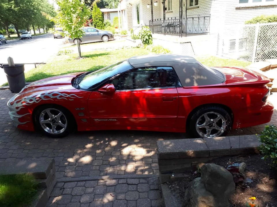 1998 Pontiac Firebird Trans Am 4th Gen - Image 9 of 12