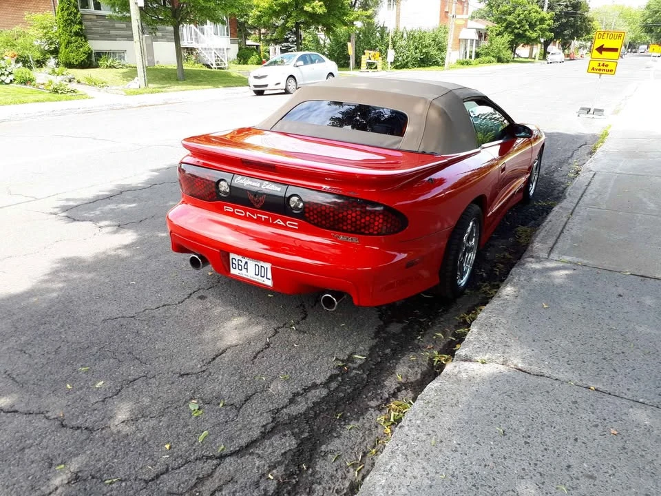 1998 Pontiac Firebird Trans Am 4th Gen - Image 12 of 12