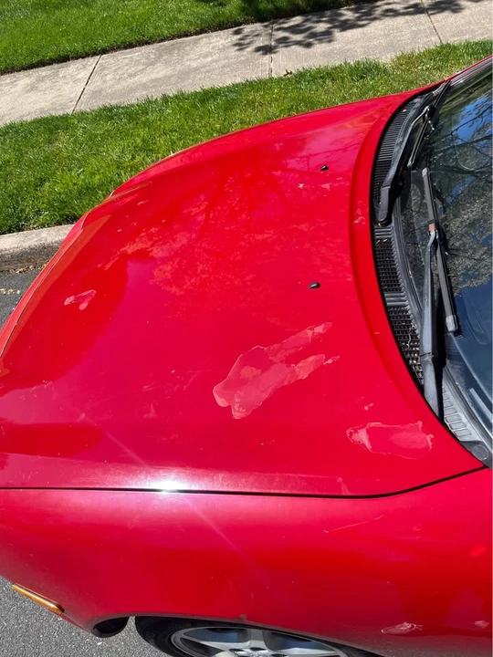1998 Toyota Celica 6th Gen - Image 10 of 20
